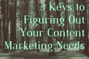 Many businesses understand that content is an important part of an online marketing strategy, however they don’t really understand what is required beyond that. Here are some tips to help you figure out the specifics of your content needs.

If you are planning to invest in content marketing services, it is… Continue Reading…